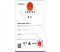 91成人版商標注冊證